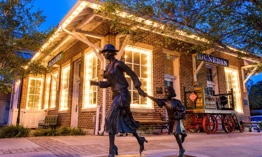 Residential Electrician in Dunedin